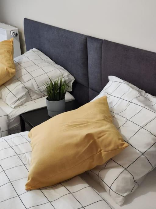 Piekny Apartament 3-Pokojowy Катовіце Екстер'єр фото