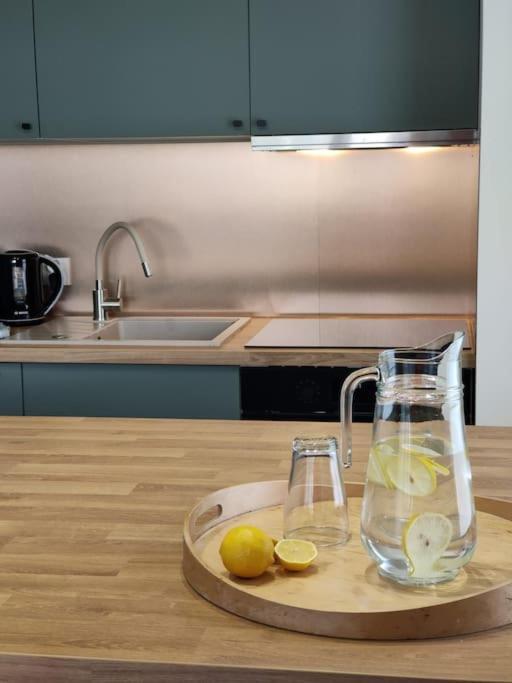 Piekny Apartament 3-Pokojowy Катовіце Екстер'єр фото